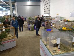 IMG_20181117_123238504